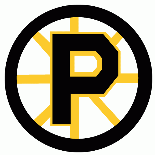 Providence Bruins 1992 93-1994 95 Primary Logo vinyl decal